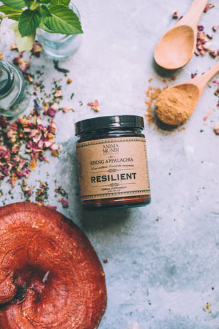 RESILIENT Powder | Adaptogens + Cacao